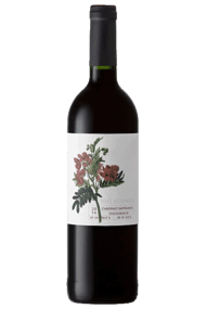 Big Flower Cab Sauv Cellar Showdown